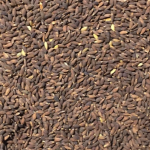 Black_Bhatta_rice1-150x150
