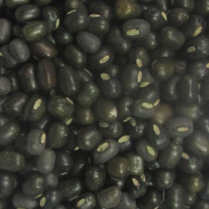 Urad Seeds